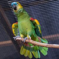 FB_IMG_1720341803305