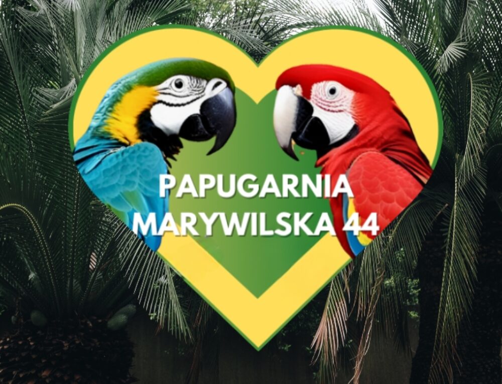 Odkryj Papugarnię w Parku Handlowym MARYWILSKA 44!